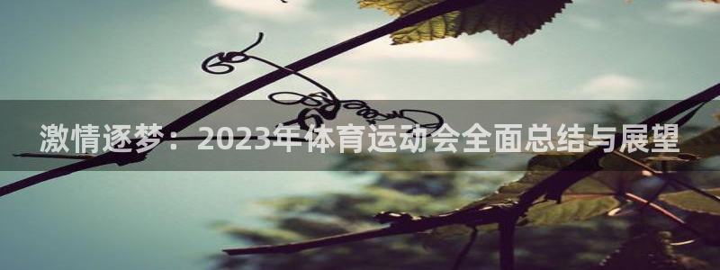 意昂4体育平台登录入口