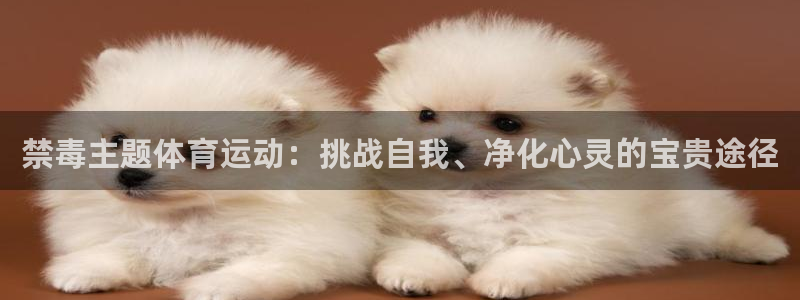 意昂4主管