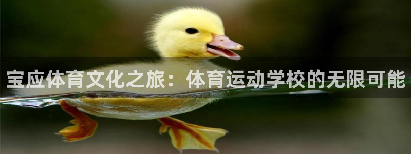 意昂4体育娱乐总代