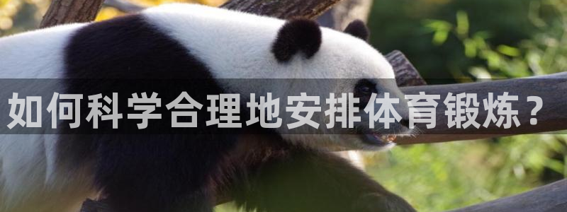意昂4在线注册