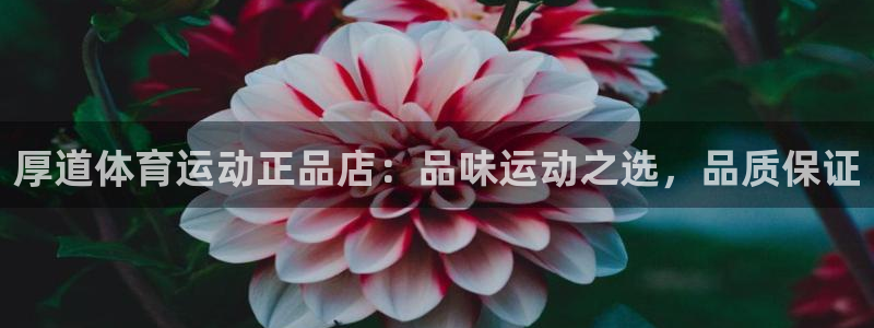 意昂43