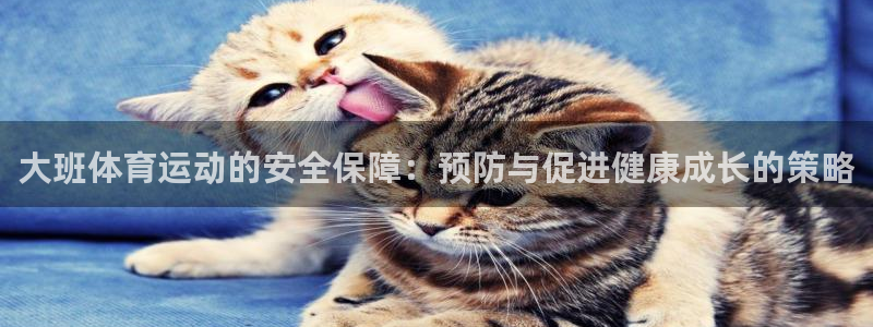 意昂4体育4