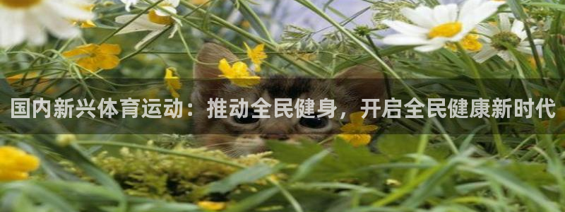 意昂4平台开户链接