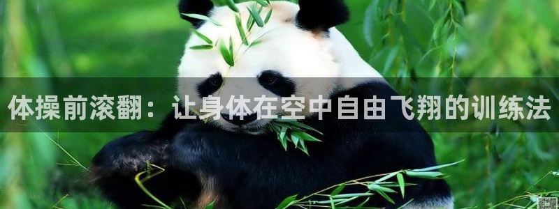 意昂4