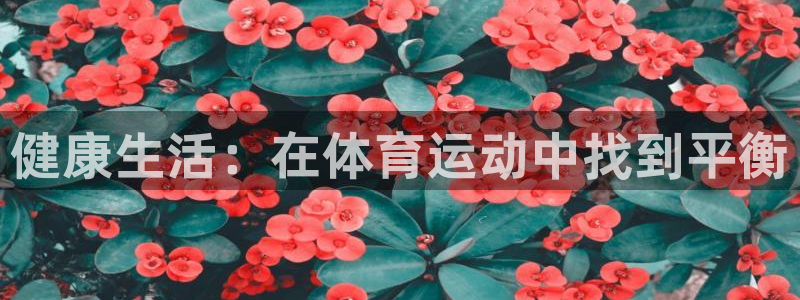 意昂4注册