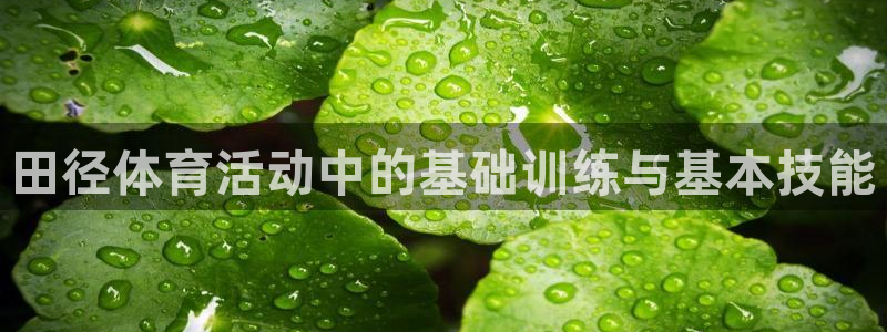 意昂44官网