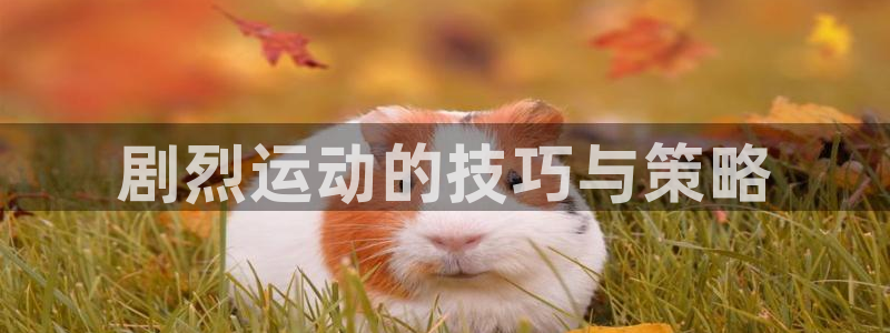 意昂4体育4