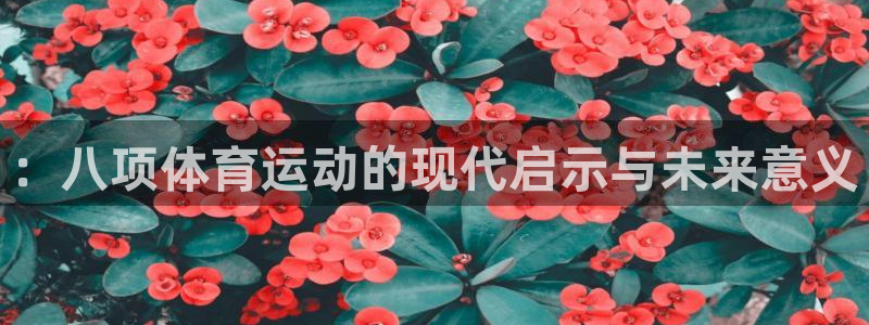 意昂4体育官网登录
