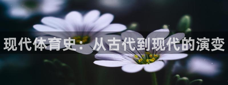 意昂4体育娱乐总代