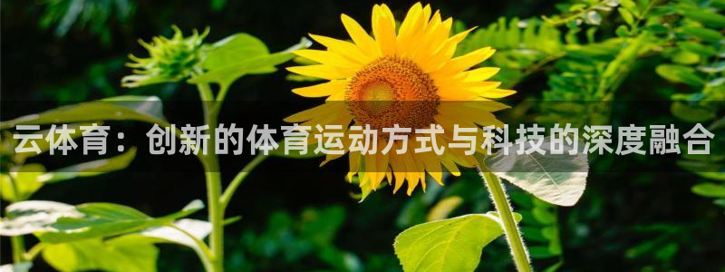 意昂44开户