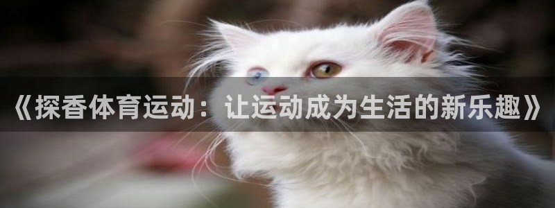 意昂42代理注册