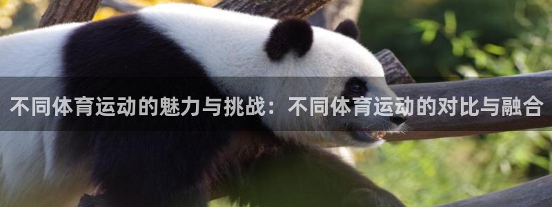佛山市南海意昂4机电仪器有限公司
