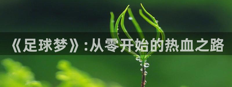 意昂4注册