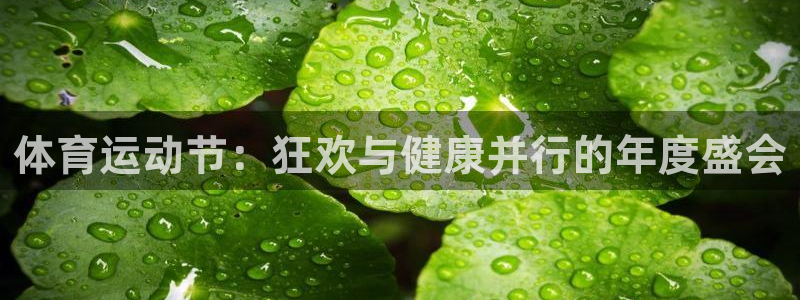 意昂42注册