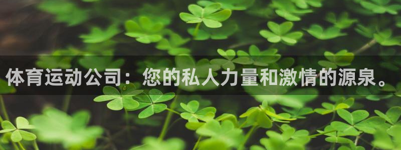 意昂4体育老板是谁