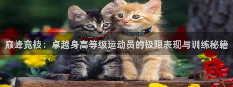 意昂4体育代理申请流程