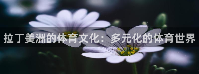 意昂4体育凯捷平台招商