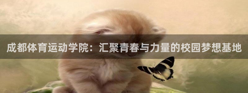 意昂4体育1招商
