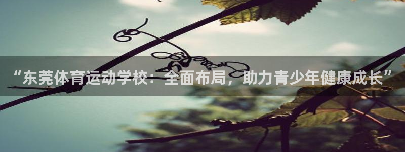 意昂4娱乐官网入口