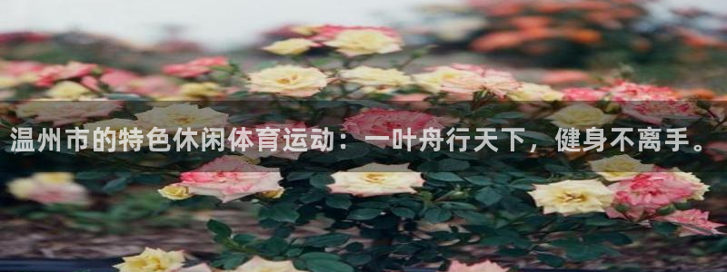 意昂4体育凯捷平台注册